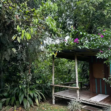 Casa Rio Blanco Eco Friendly B&B Guapiles Exterior photo