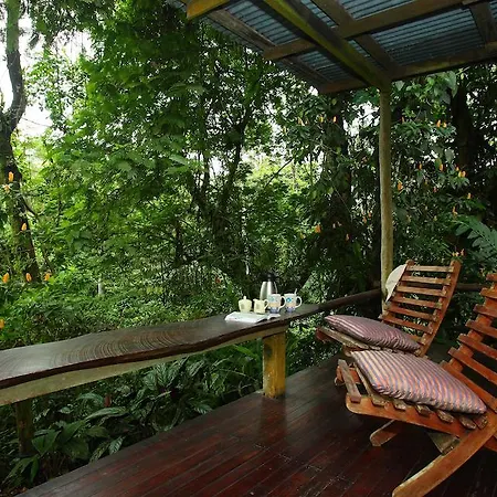 Casa Rio Blanco Eco Friendly B&B Guapiles Exterior photo