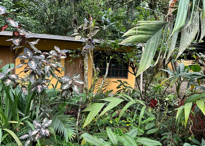 Casa Rio Blanco Eco Friendly B&B