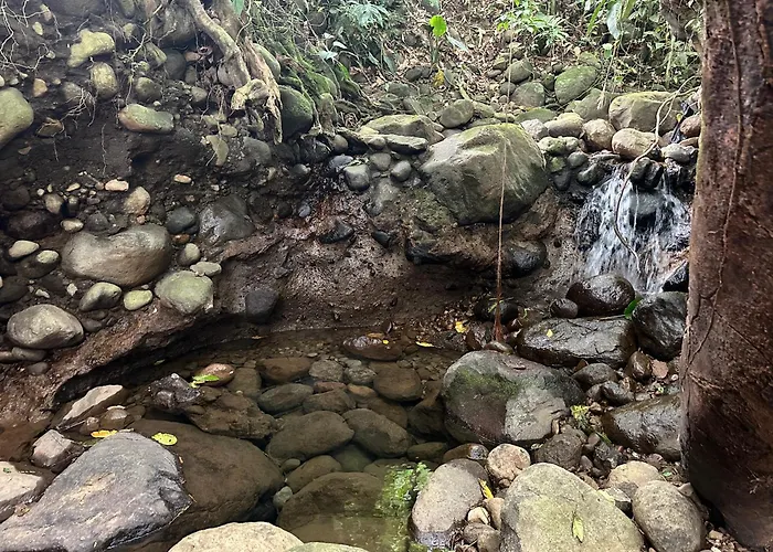 Casa Rio Blanco Eco Friendly B&B