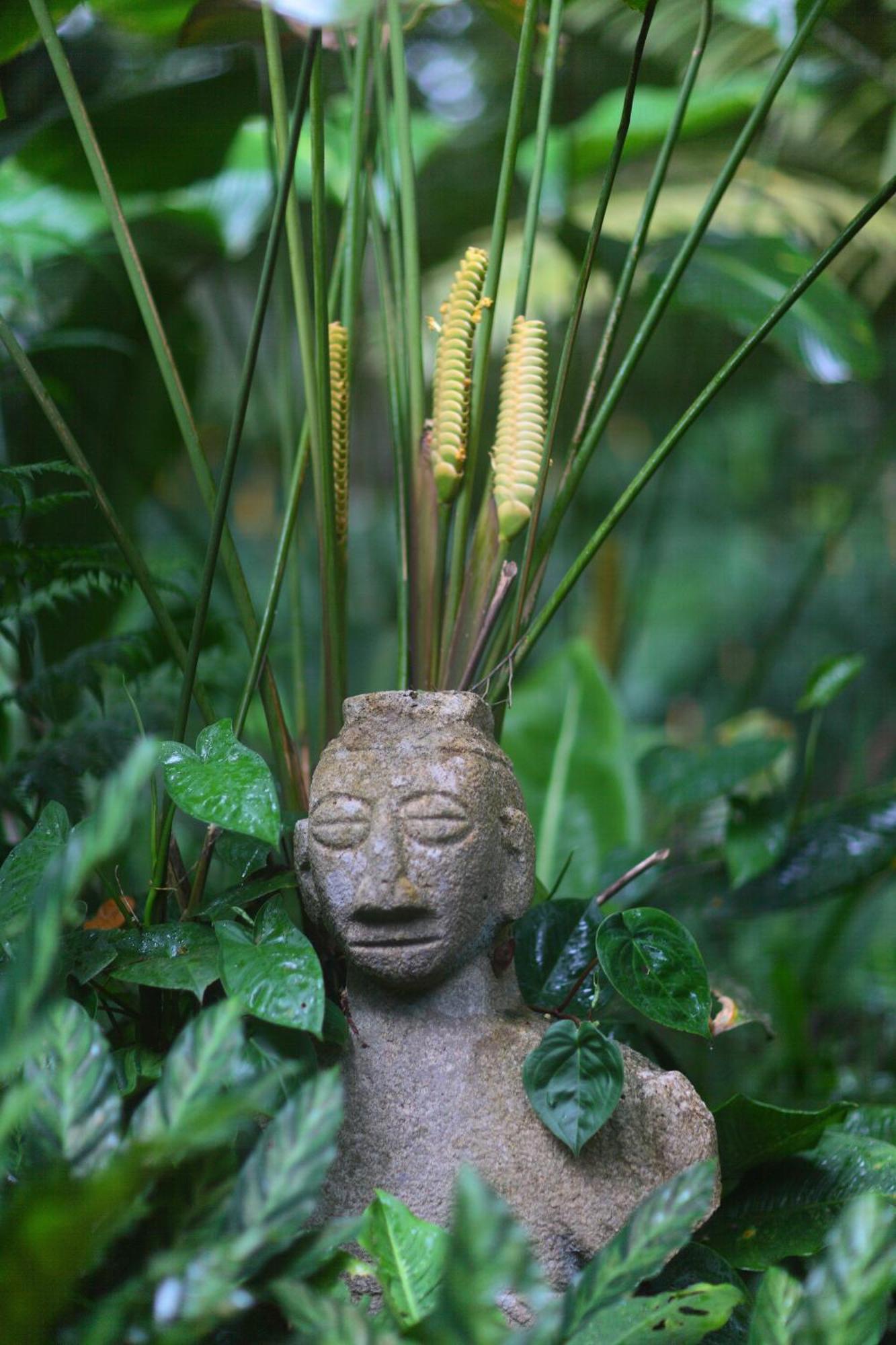 Casa Rio Blanco Eco Friendly *