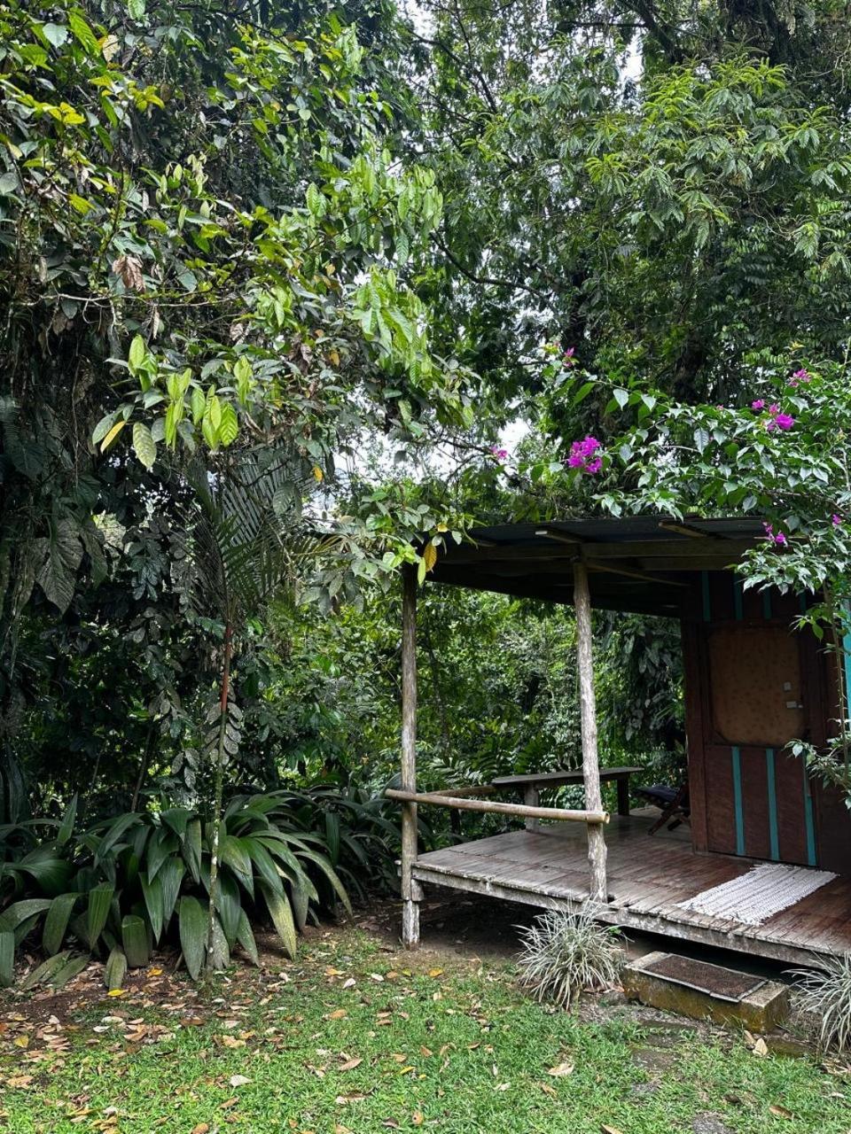 Casa Rio Blanco Eco Friendly Guápiles