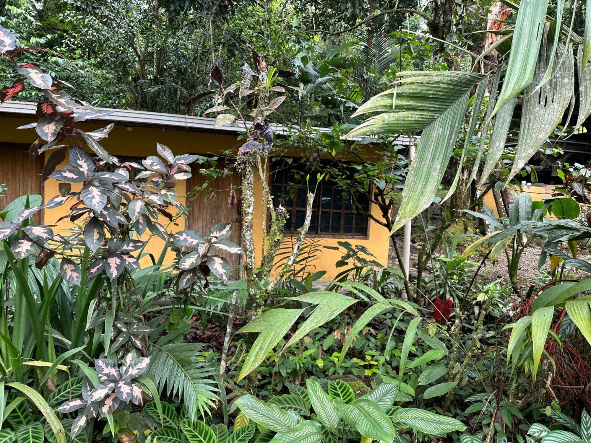 Couette-café Casa Rio Blanco Eco Friendly Guápiles