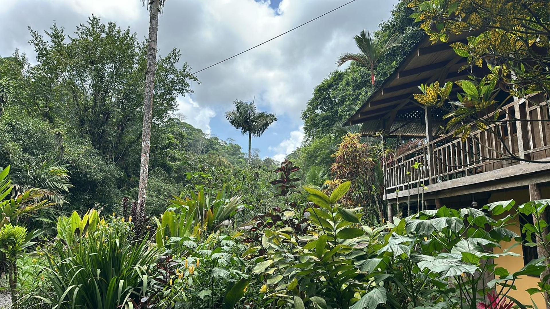 Casa Rio Blanco Eco Friendly Guápiles
