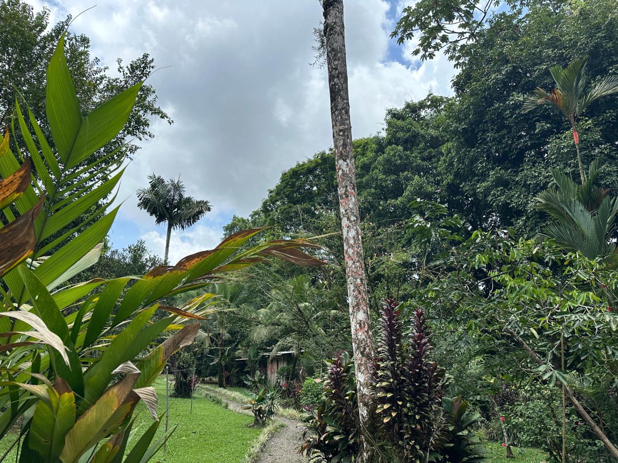 Casa Rio Blanco Eco Friendly * Guapiles