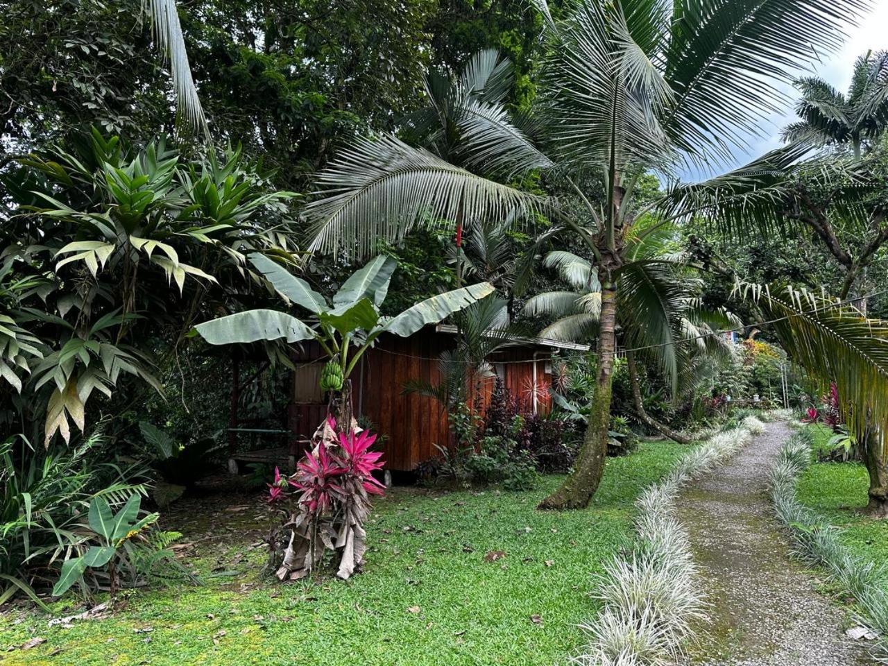 Couette-café Casa Rio Blanco Eco Friendly *